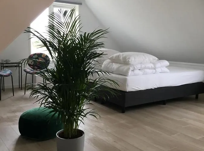 Van Goud 카트베이크안제이